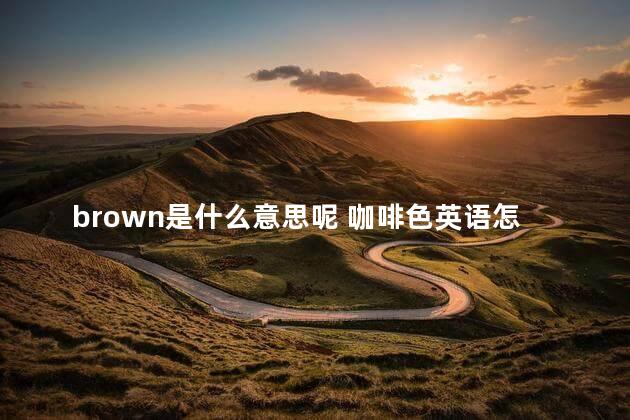 brown是什么意思呢 咖啡色英语怎么读brown